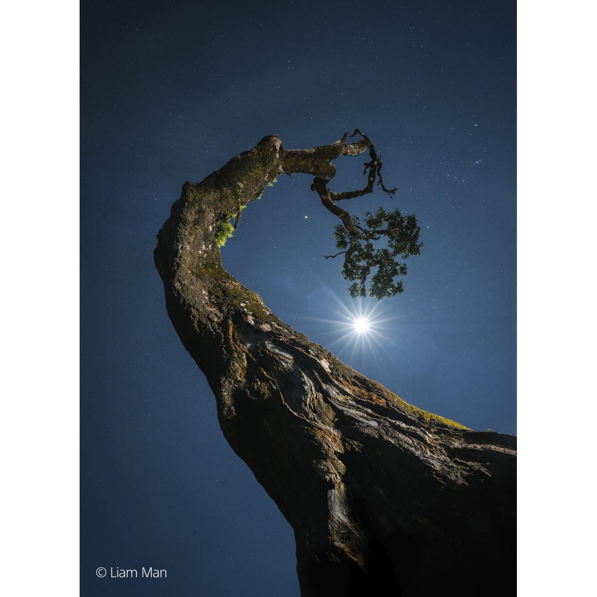 SONY 20-70 mm F4 G. FE Full-frame con attacco E-mount