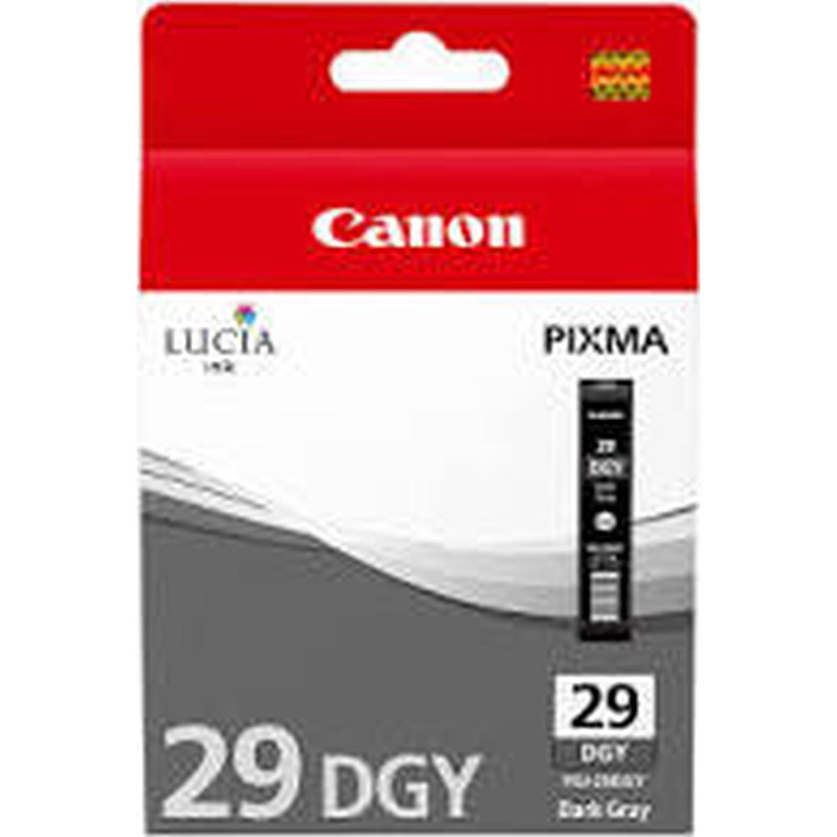Cartuccia Canon Pixma Pgi-29dgy