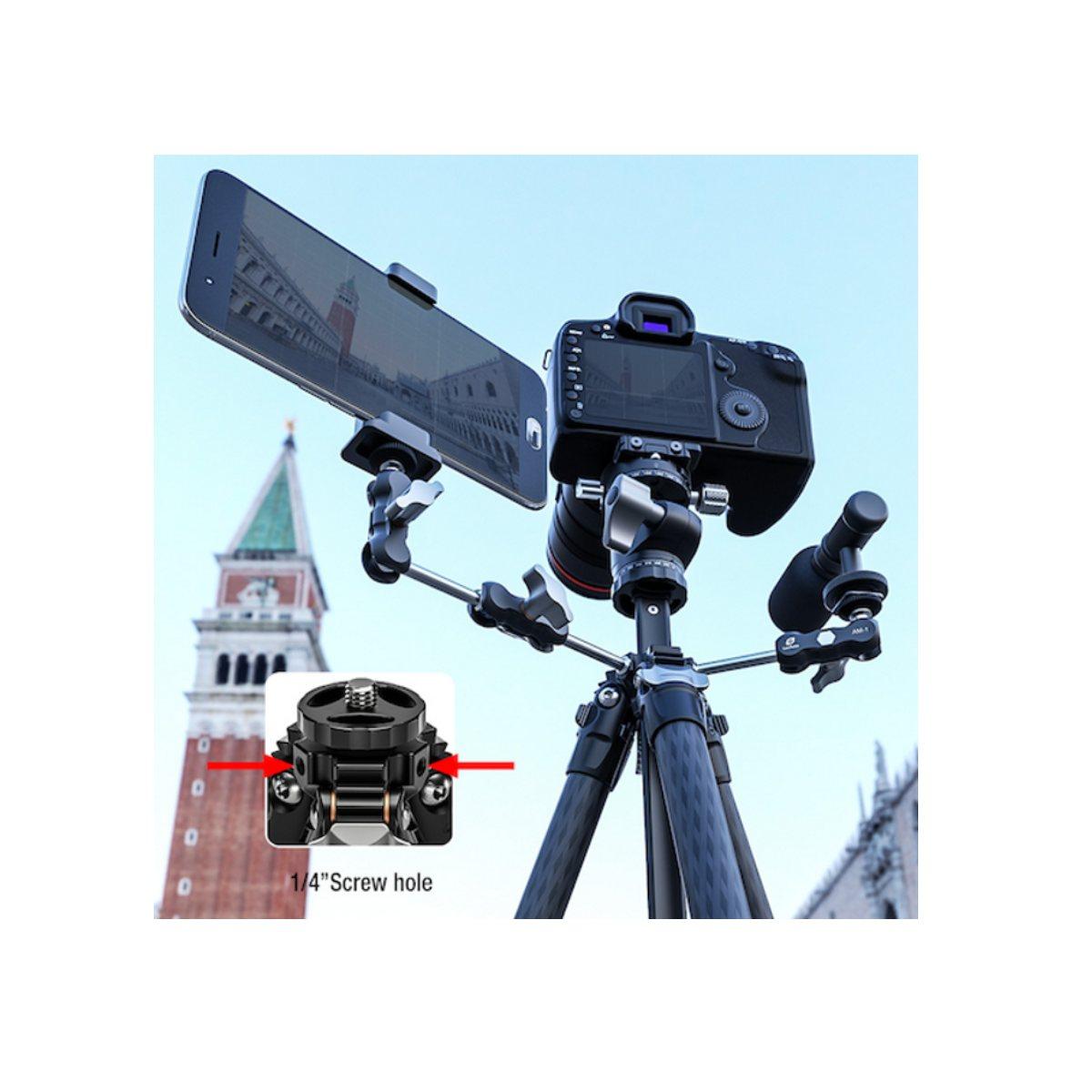 Leofoto Treppiede in Carbonio LY-224C + LH-25R+BORSA-Garanzia 10 Anni