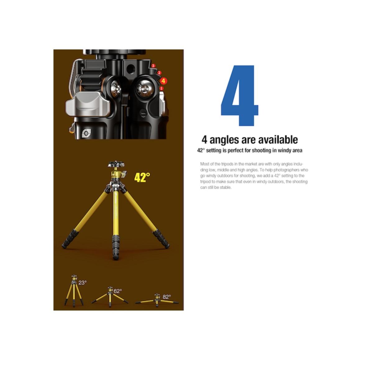 Leofoto Treppiede in Carbonio LY-224C + LH-25R+BORSA-Garanzia 10 Anni