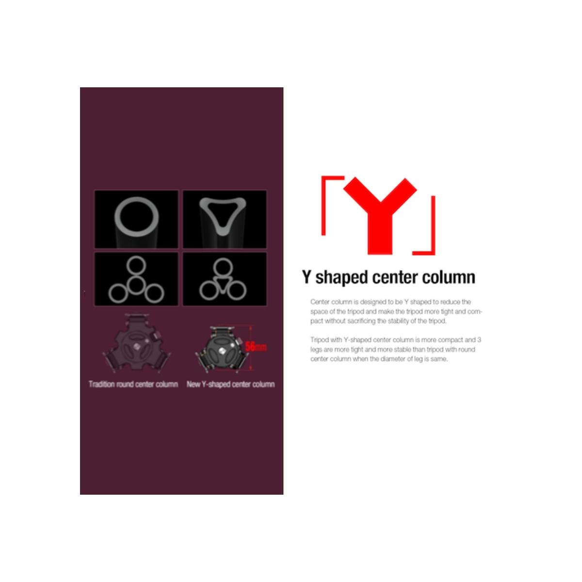 Leofoto Treppiede in Carbonio LY-224C + LH-25R+BORSA-Garanzia 10 Anni