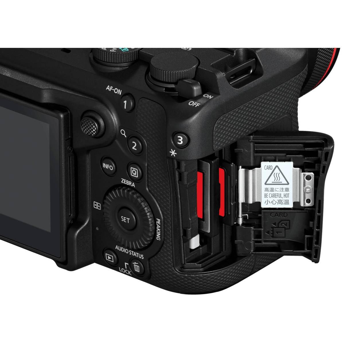 CANON EOS R6 V Body